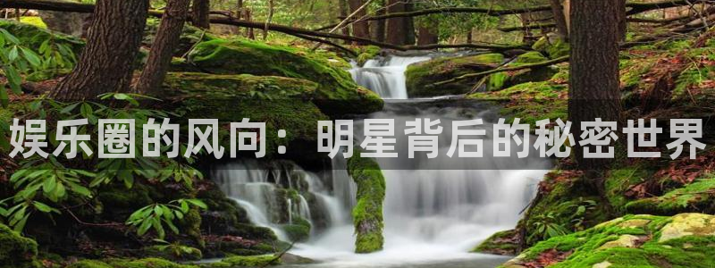 百达娱乐：娱乐圈的风向：明星背后的秘密世界