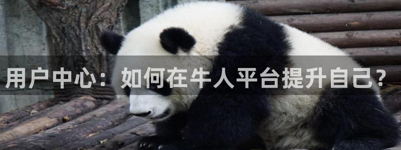 百达娱乐：用户中心：如何在牛人平台提升自己？