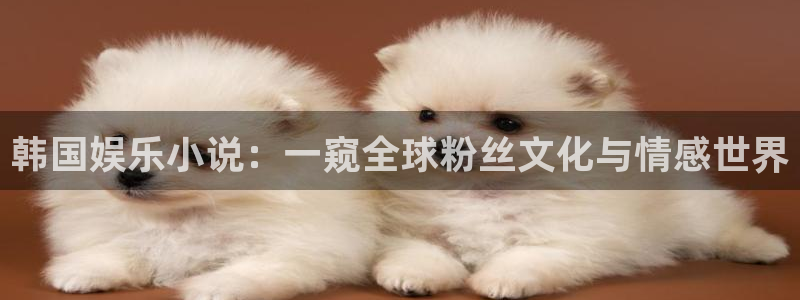 百达娱乐：韩国娱乐小说：一窥全球粉丝文化与情感世界