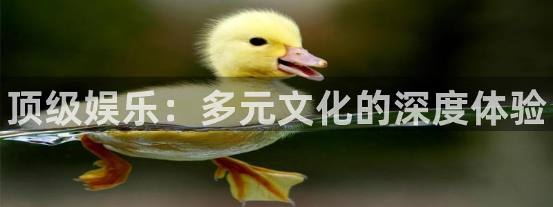 百达娱乐：顶级娱乐：多元文化的深度体验