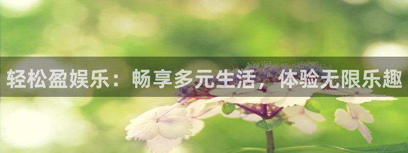 百达娱乐：轻松盈娱乐：畅享多元生活，体验无限乐趣