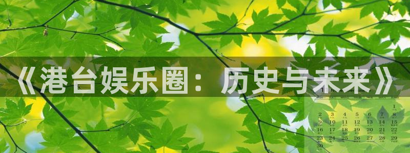 百达娱乐：《港台娱乐圈：历史与未来》