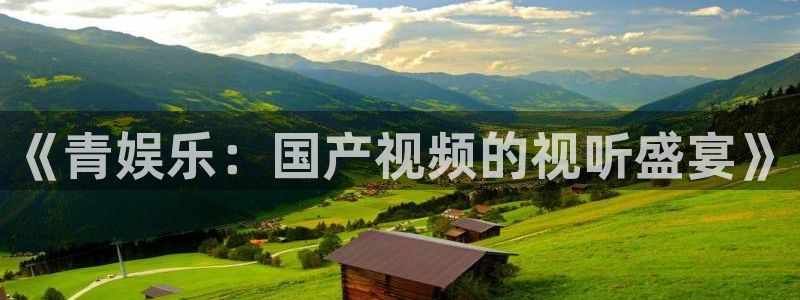 百达娱乐：《青娱乐：国产视频的视听盛宴》
